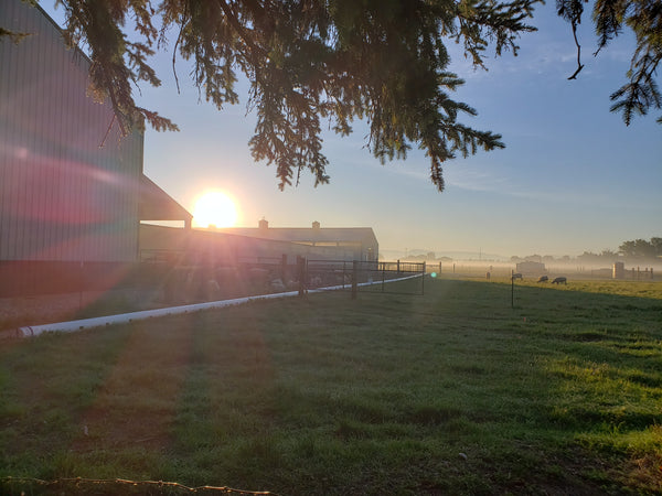 Farm at Sunrise