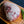 Load image into Gallery viewer, Leg of Lamb, Whole, Boneless