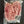 Load image into Gallery viewer, Shoulder Steaks