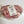 Load image into Gallery viewer, Boneless Shoulder Roast