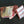 Load image into Gallery viewer, Denver-Style Lamb Spareribs