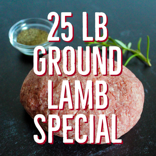 Fill Your Freezer Ground Lamb Special